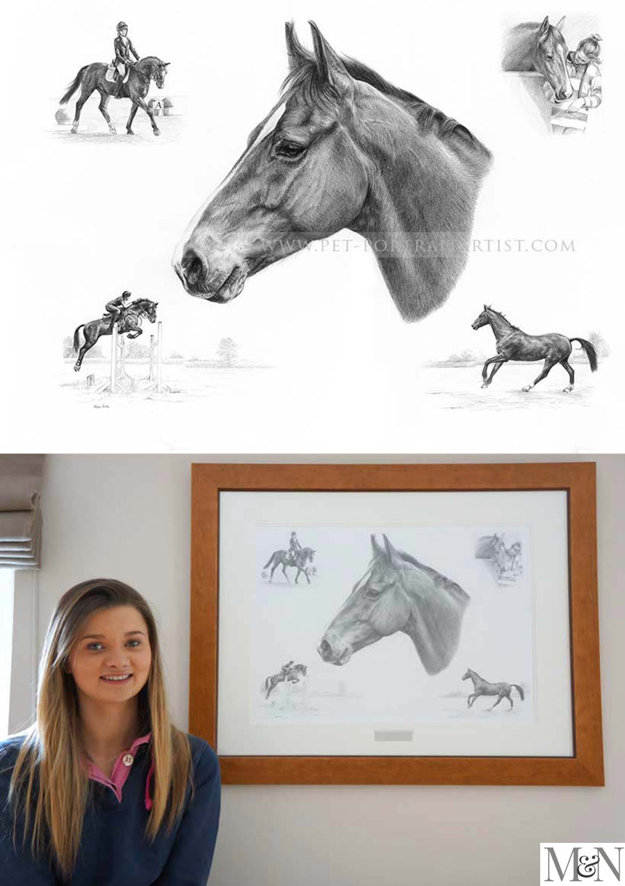 horse pet portraits pencil