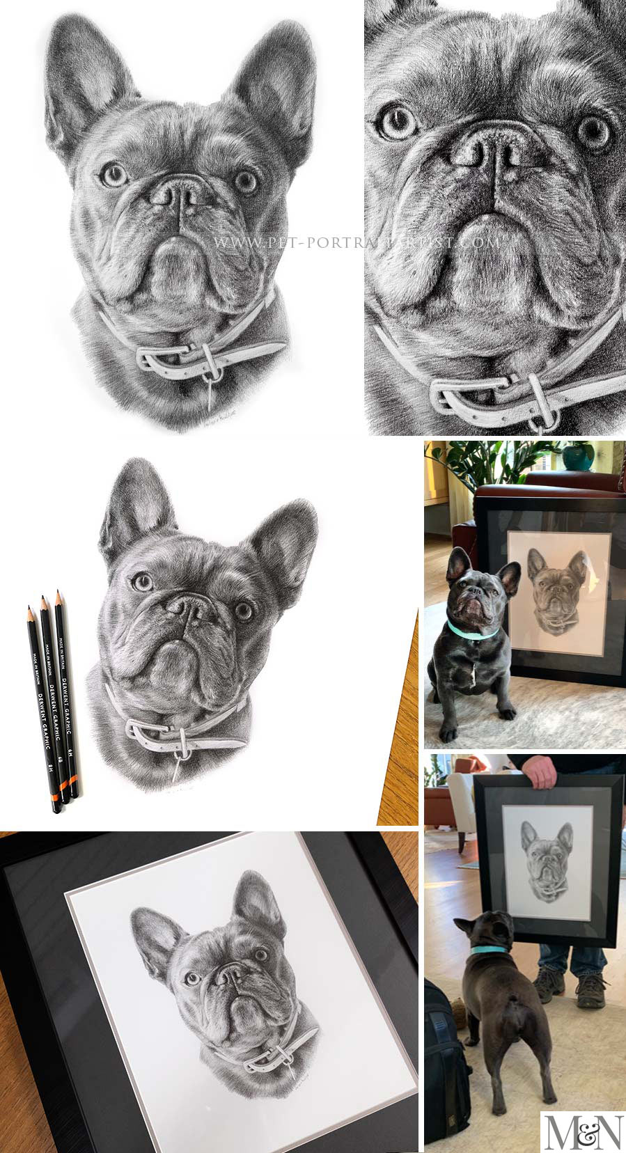 Pencil Pet Portraits