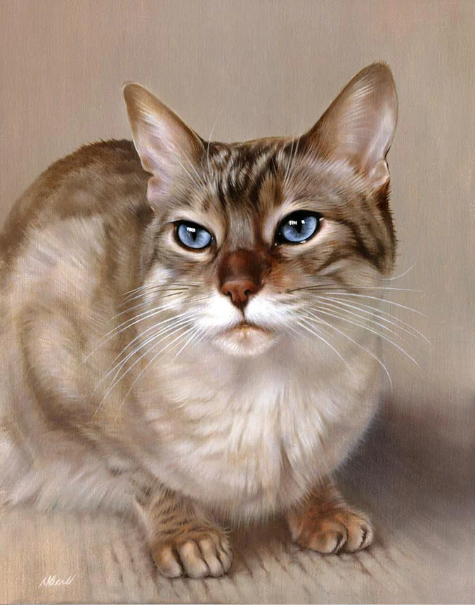 Tia the cat, stunning oil portrait on canvas by Nicholas Beall