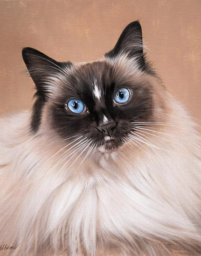 Saffie the cat, custom oil portrait by Nicholas Beall