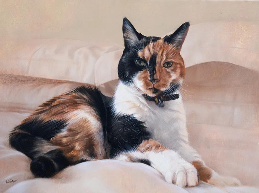 Shelly the cat, custom oil painting by Nicholas Beall