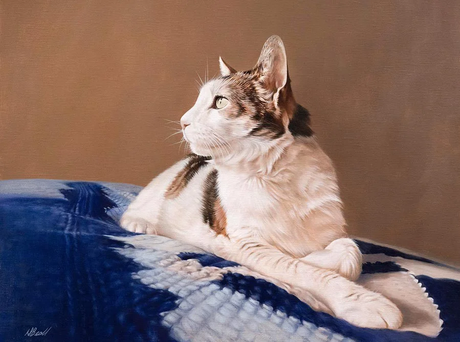 Boone the cat, oil portrait on canvas by Nicholas Beall