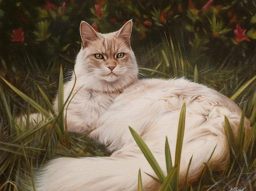 Archie the cat, oil portrait on canvas by Nicholas Beall
