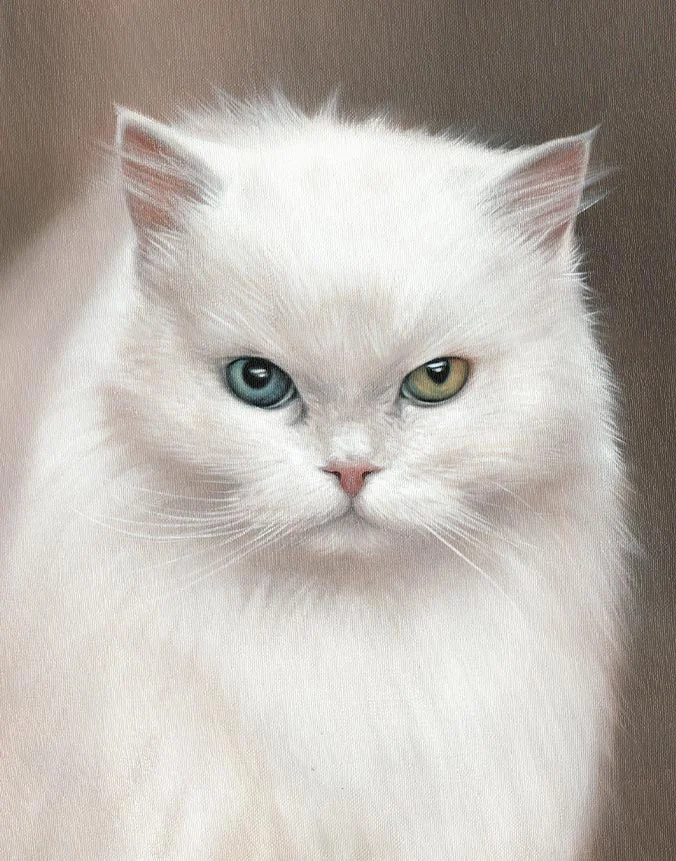 Sophie the white cat, hand-painted oil portrait on canvas by Nicholas Beall