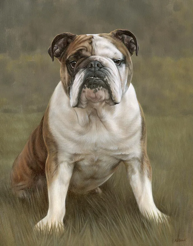 Winston Bulldog dog oil painting by Nicholas Beall
