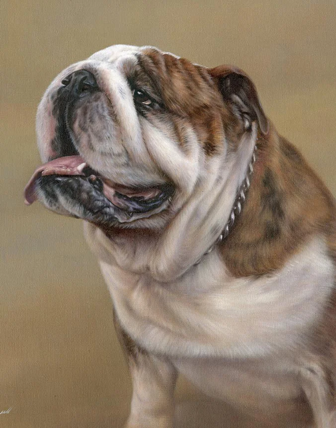 Remi Bulldog dog oil painting by Nicholas Beall