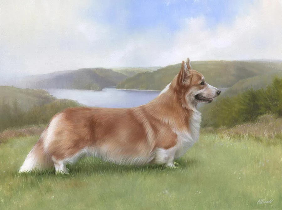 Luke Corgi dog oil painting by Nicholas Beall