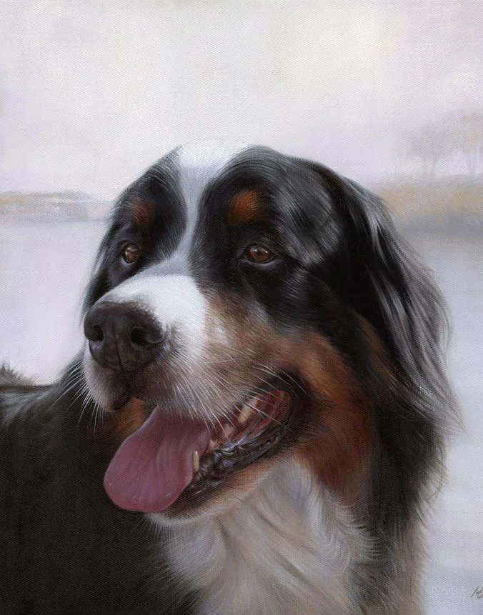 Yogi Bernese Mountain Dog oil painting by Nicholas Beall