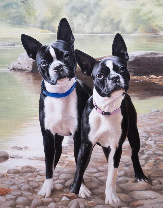 Boston Terrier oil portrait of Hudson and Hannah by Nicholas Beall