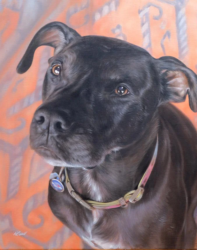 Oil portrait of Wallace the rescue dog by Nicholas Beall