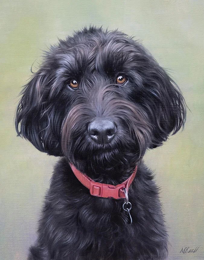 Oil portrait of Luna the Labradoodle by Nicholas Beall