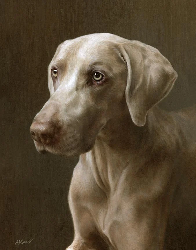 Oil portrait of Ramses the Weimaraner by Nicholas Beall