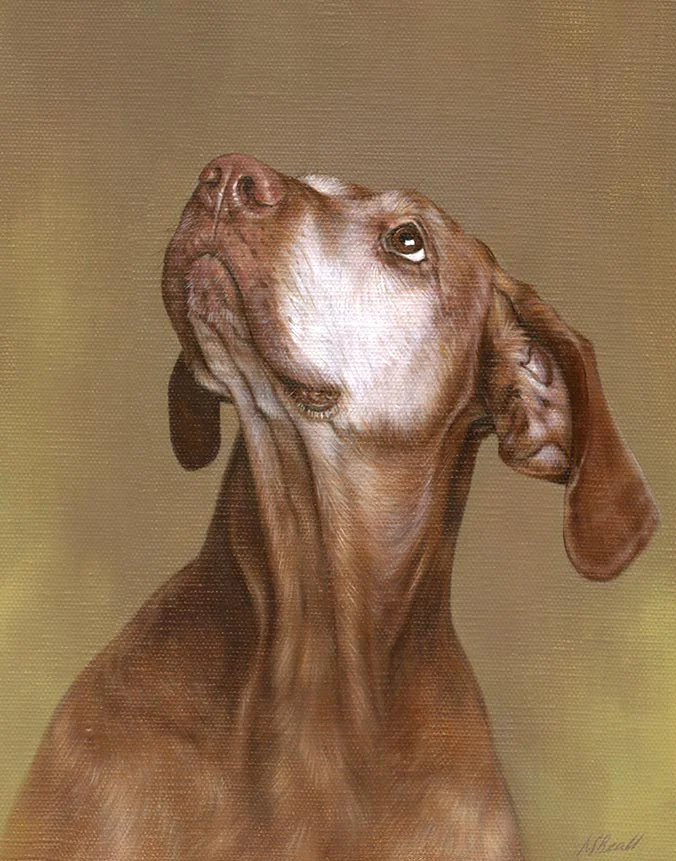 Oil portrait of Cinega by Nicholas Beall