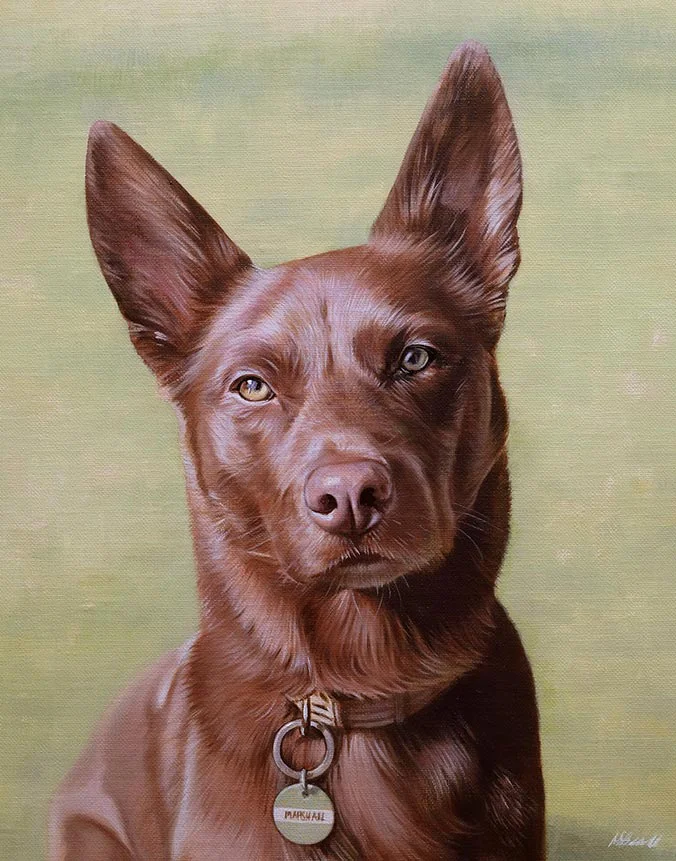 Oil painting of Marshall the city working dog from Australia by Nicholas Beall