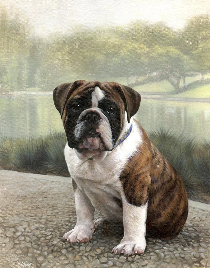 Otis English Bulldog dog oil painting by Nicholas Beall