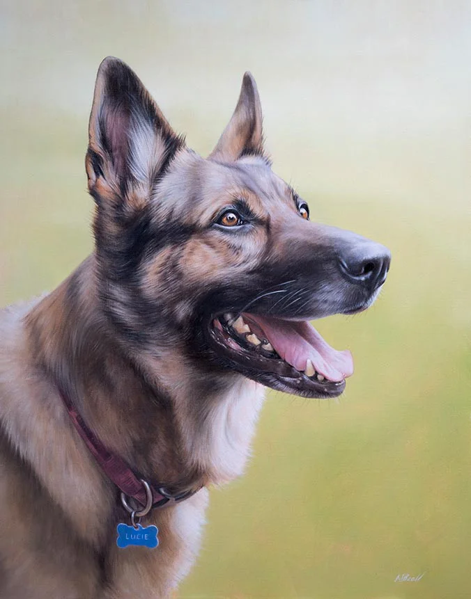 Lucie German Shepherd dog oil painting by Nicholas Beall