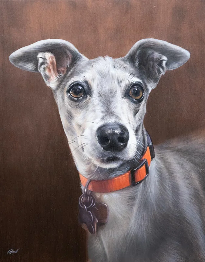 Spyder Italian Greyhound dog oil painting by Nicholas Beall