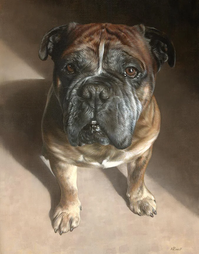 Boomer dog oil painting by Nicholas Beall