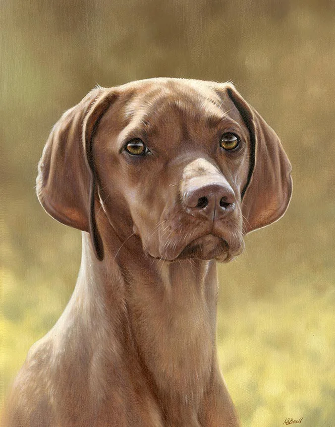 Hattie Hungarian Vizsla dog oil painting by Nicholas Beall