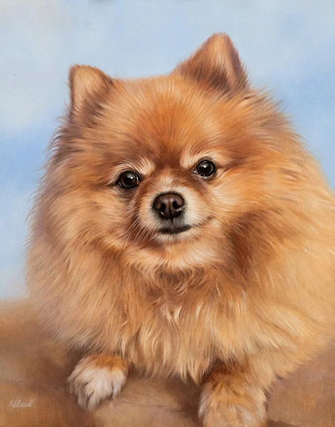 Boo Pomeranian dog oil painting by Nicholas Beall