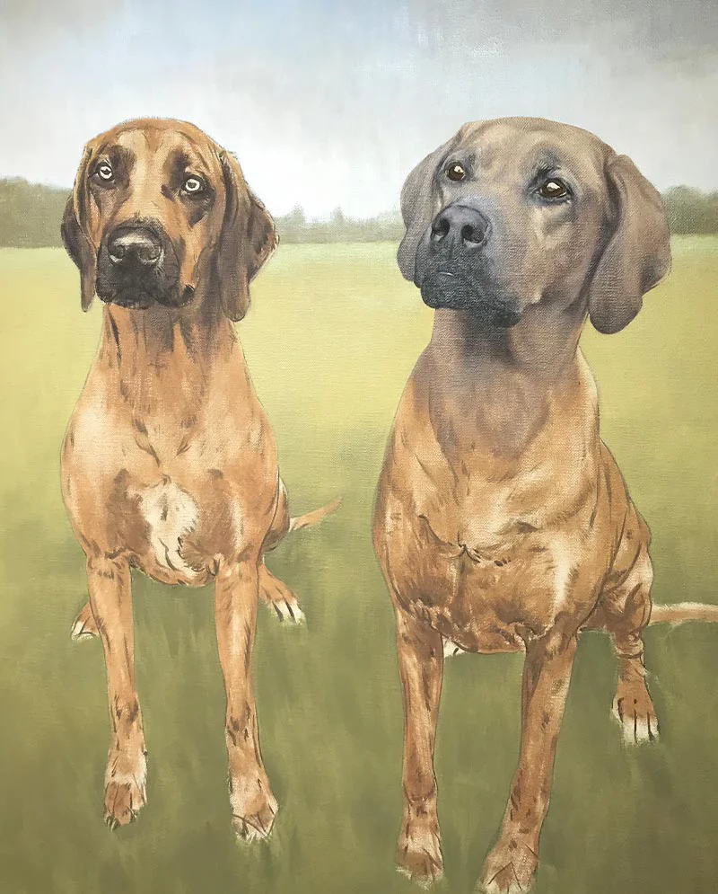 Rhodesian Ridgeback - Dog Portraits