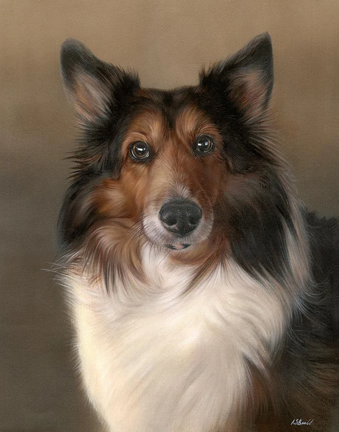 Joey Sheltie dog oil painting by Nicholas Beall