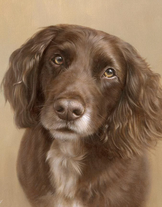 Wilf Working Cocker Spaniel dog oil painting by Nicholas Beall