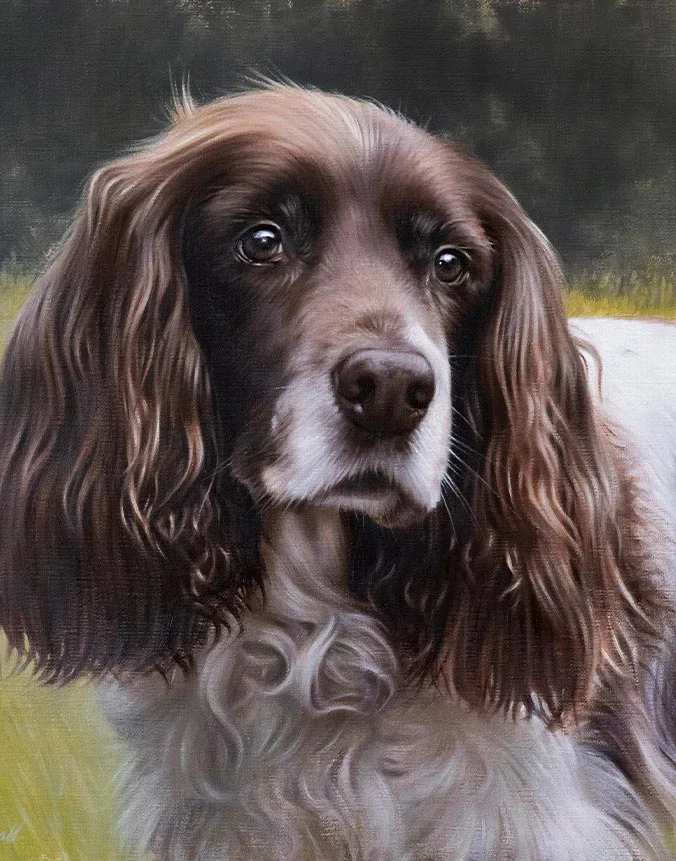KitKat Spaniel dog oil painting by Nicholas Beall