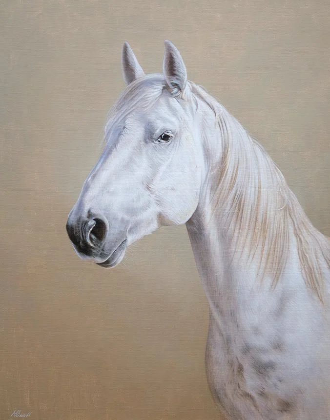 Maska, horse portrait in oils by Nicholas Beall