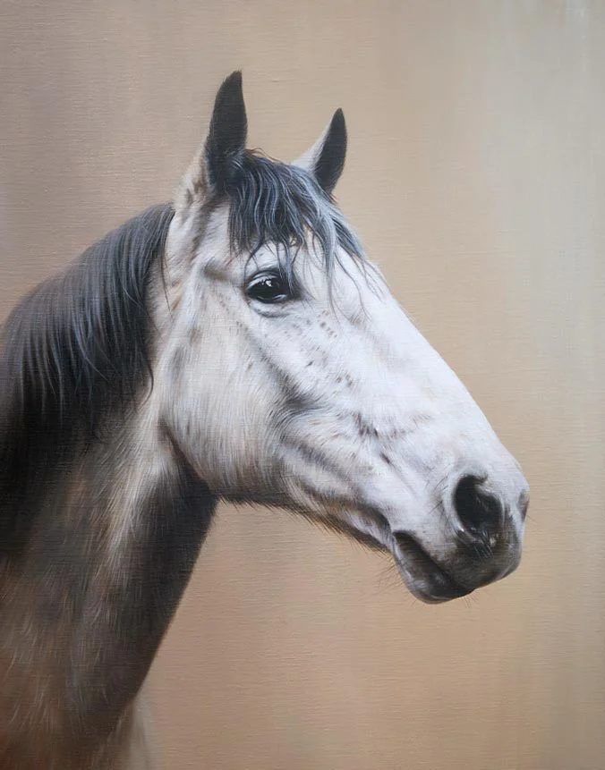 Oil horse portrait of Carina by Nicholas Beall
