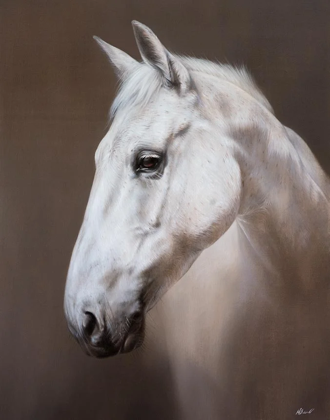 Elly the horse, traditional oil portrait by Nicholas Beall