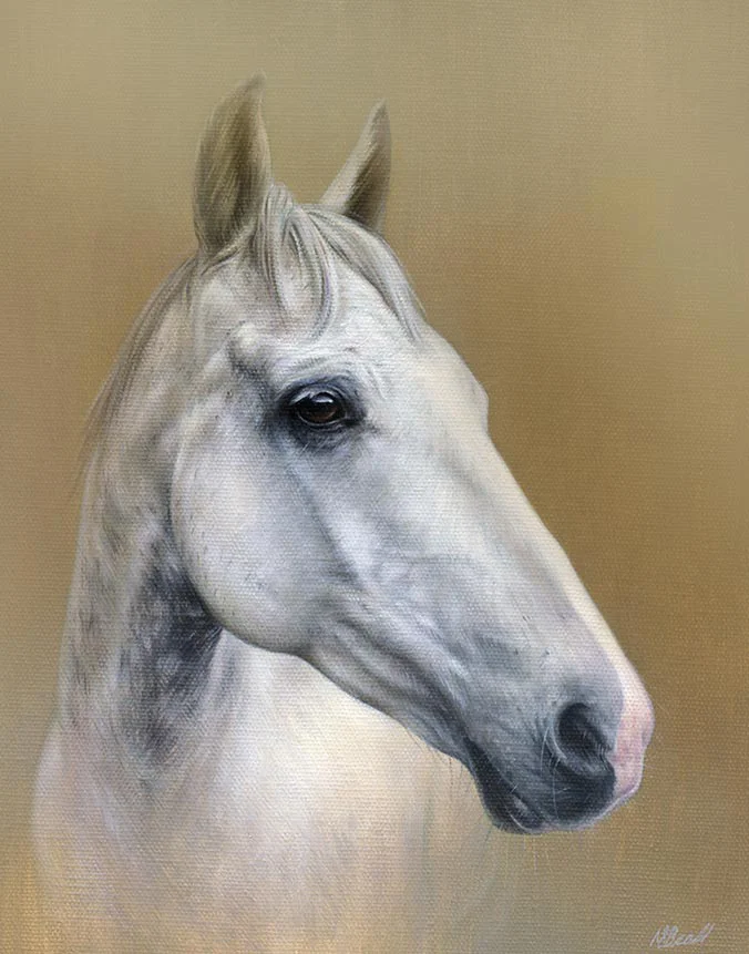 Artu the horse, oil pet portrait by Nicholas Beall