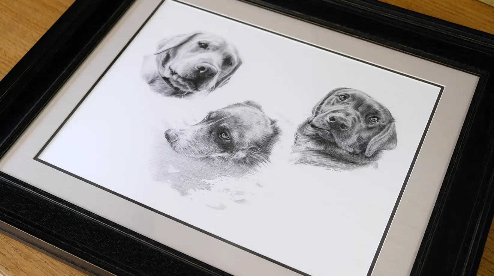 Framing advice by Melanie and Nicholas Pencil Pet Portraits Framed Advice