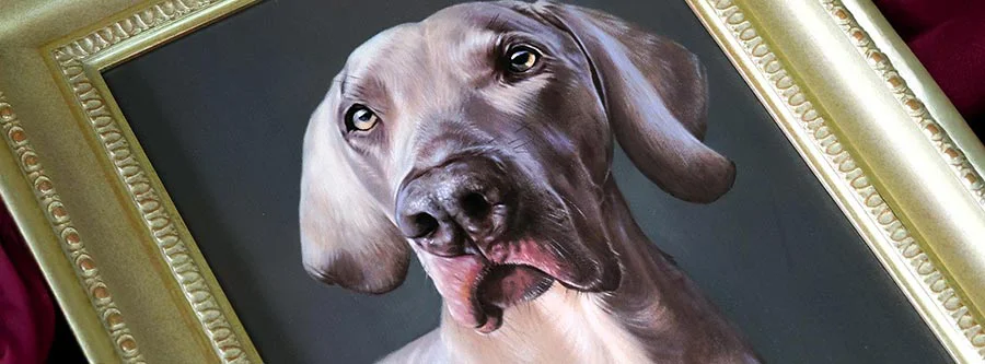 Oil Pet Portraits framed by Nicholas Beall Pet Portraits framed