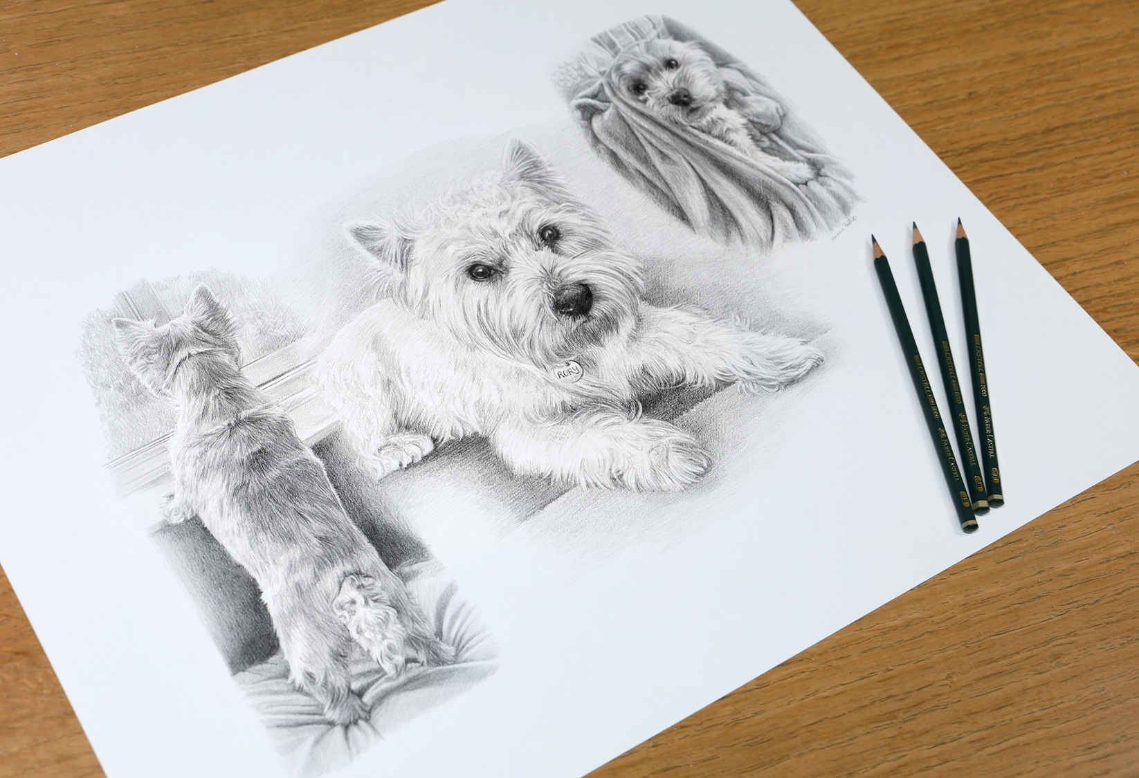 Rory — Life Story pencil portrait by Melanie Phillips showing multiple poses