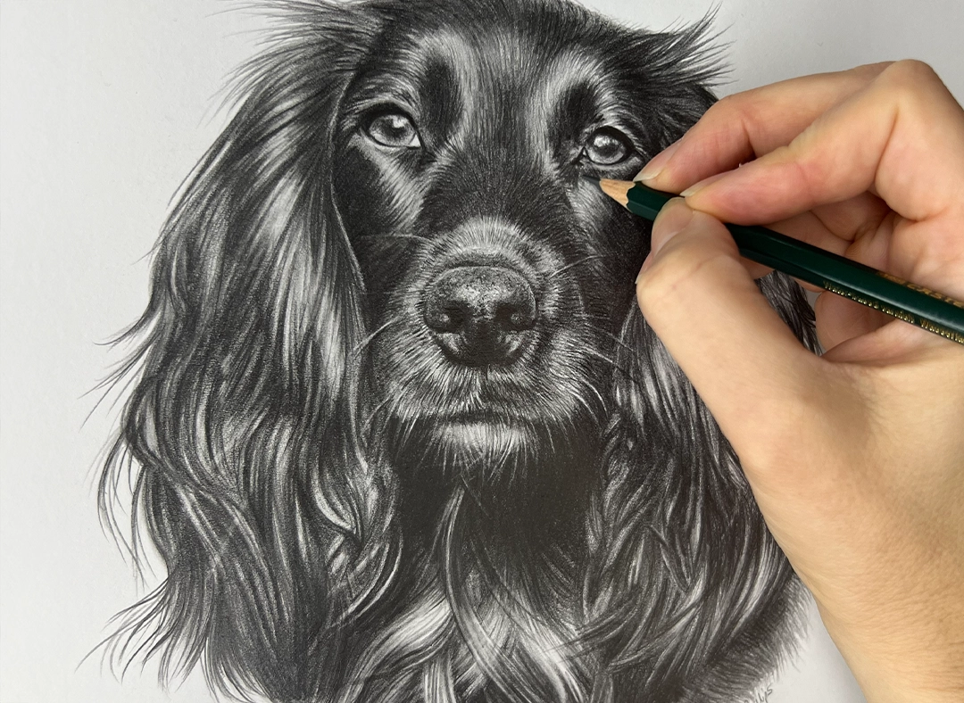 A finished memorial pencil portrait by Melanie Phillips.