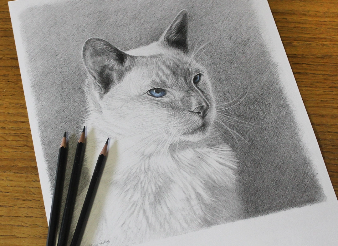 Memorial pencil portrait by Melanie Phillips.