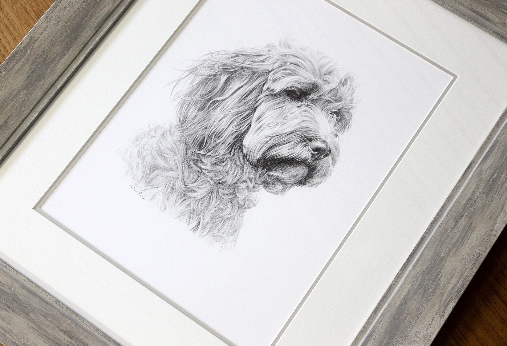 A framed pencil pet portrait drawing by Melanie Phillips shown under glass with a cream mount