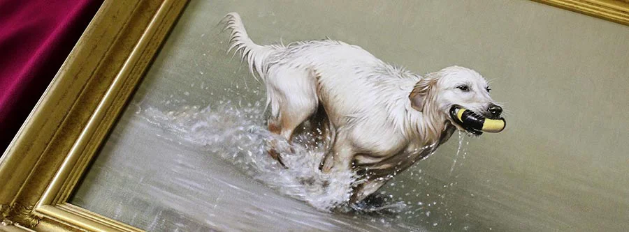 Oil Pet Portraits by Nicholas Beall Oil Pet Portraits