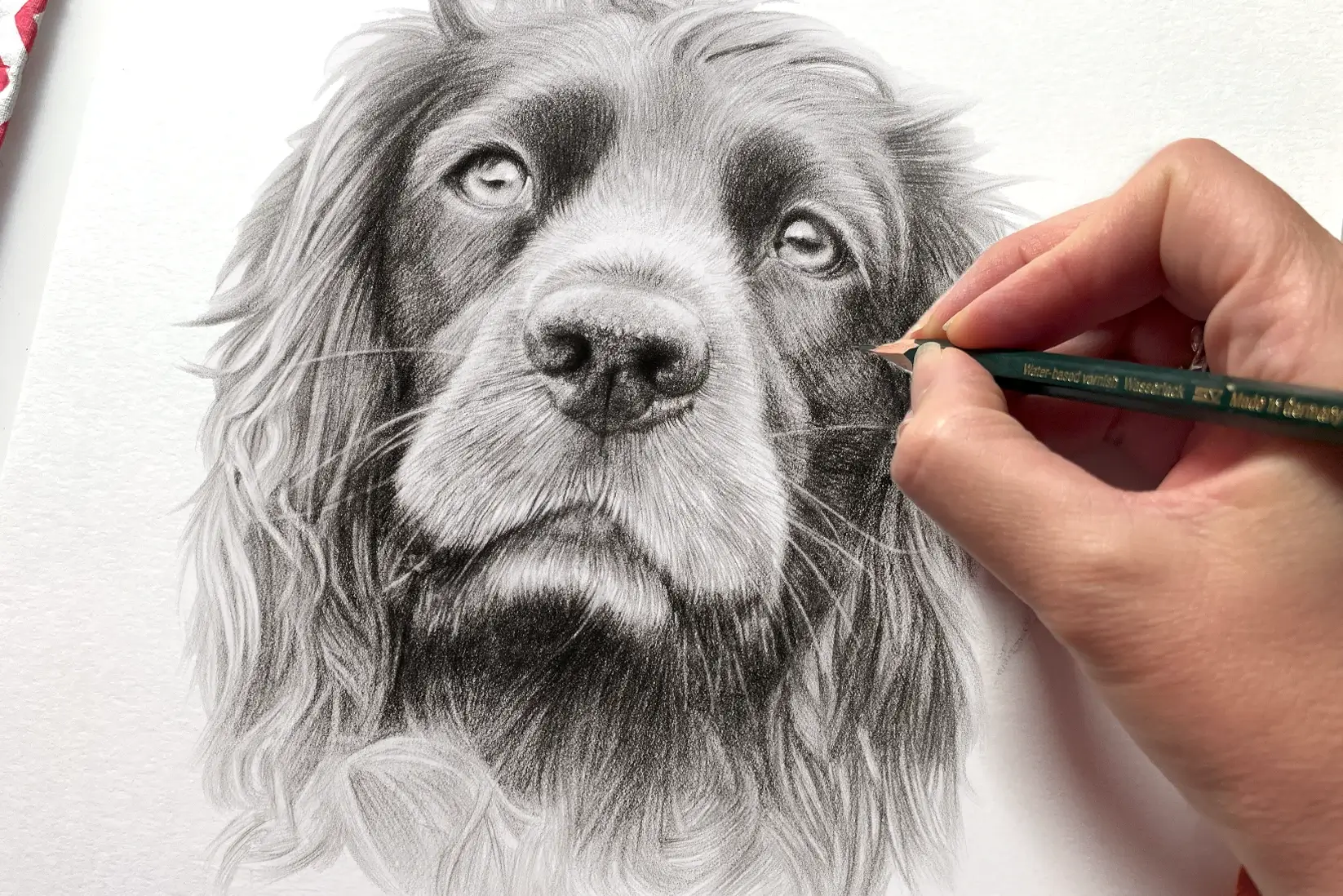 Melanie drawing a dog Drawing a dog choosing between oil and pencil Advice