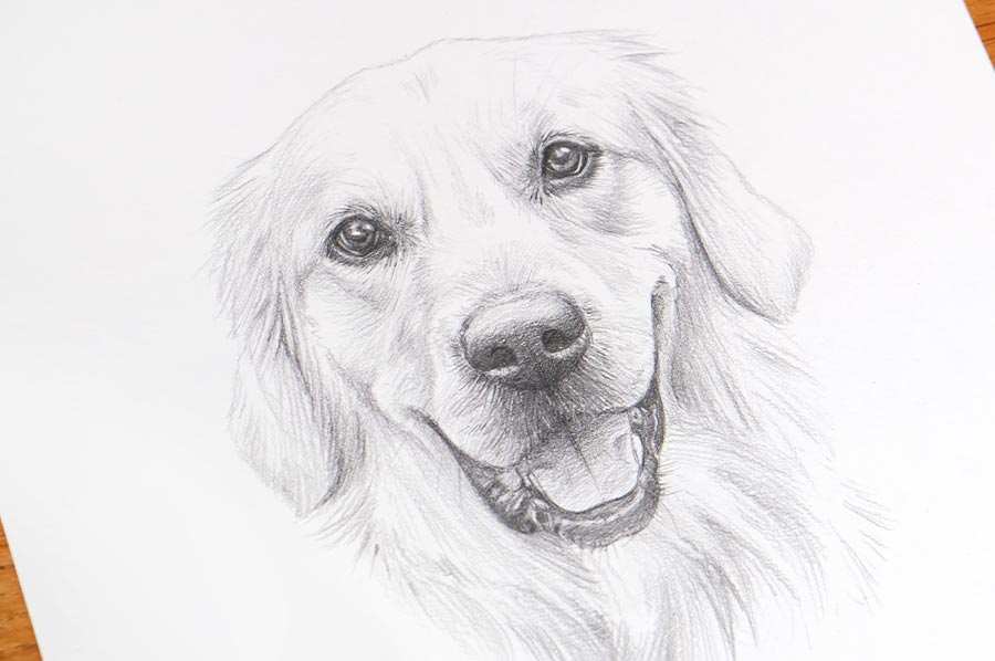 Classic Pencil Sketch