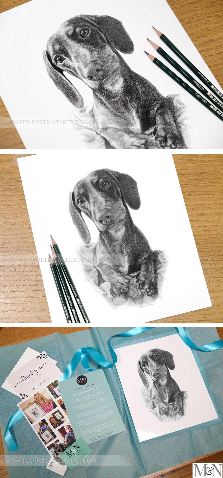 Pencil drawing of a Dachshund dog, showcasing soft fur detail