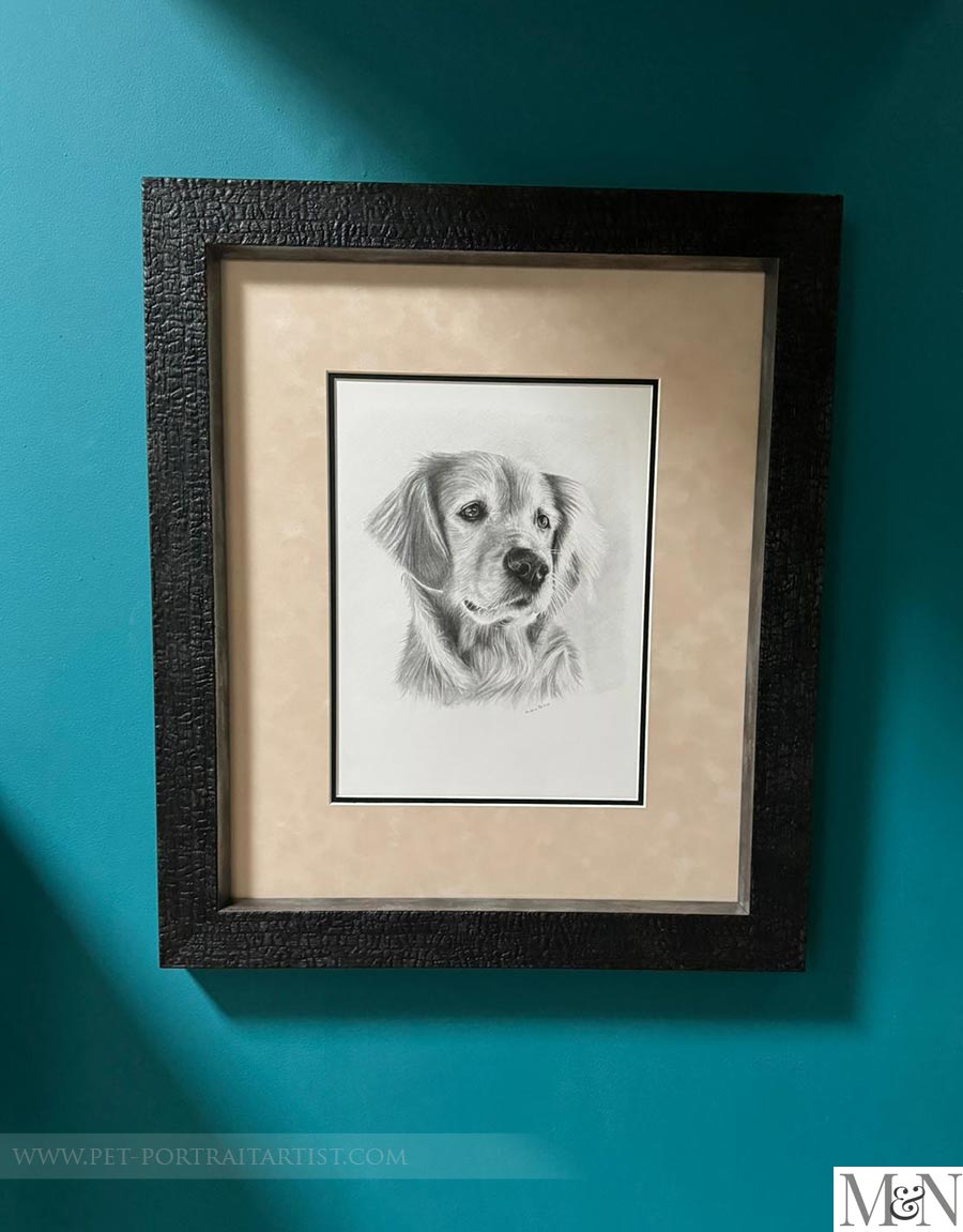 Photo of the pencil drawing of Sam framed and displayed