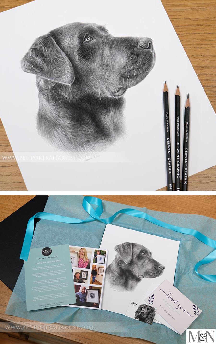 Pencil drawing of a Labrador dog, side on pose.