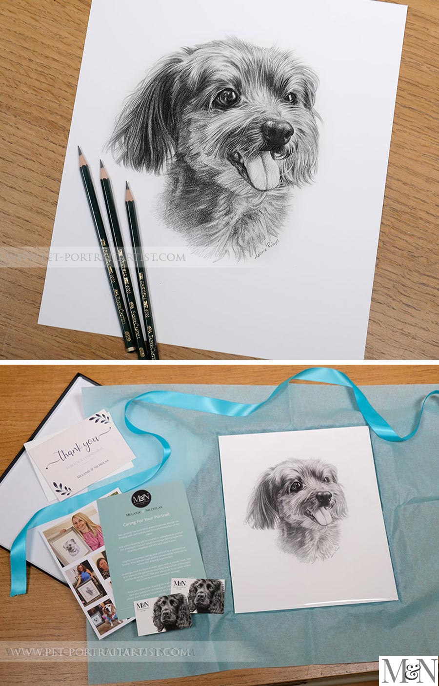 Custom Pencil Portraits of dog head study