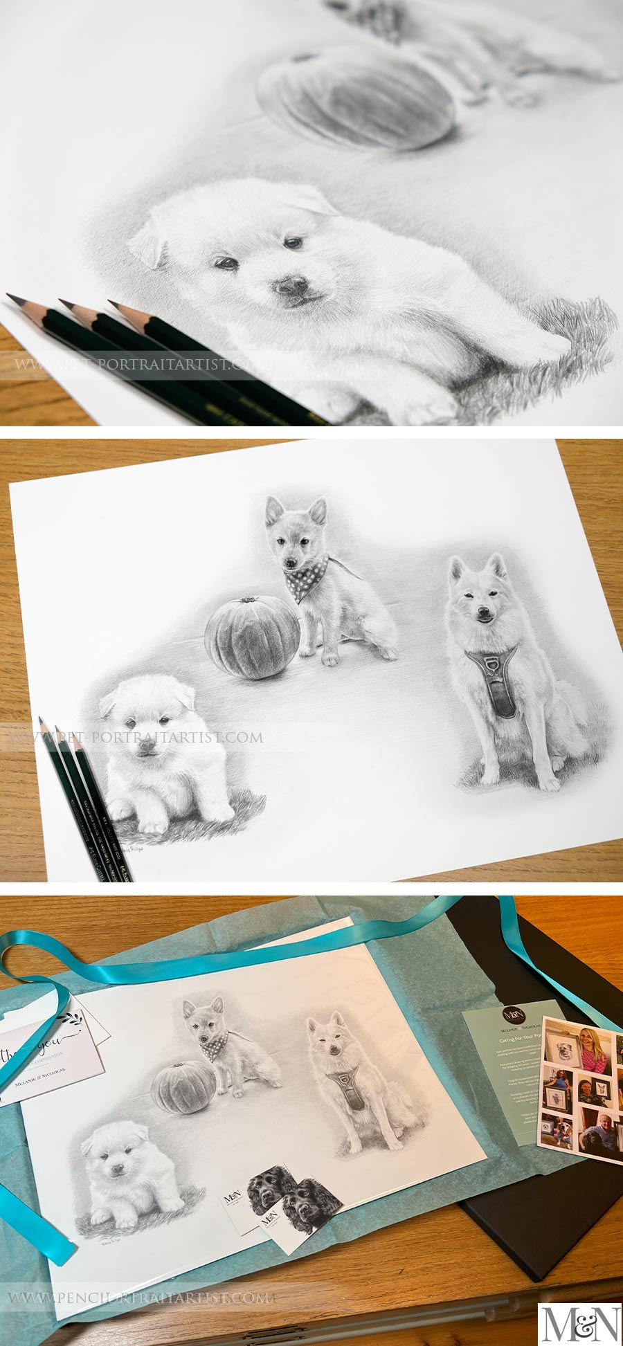 Pencil Pet Portrait Montage drawing of a dog