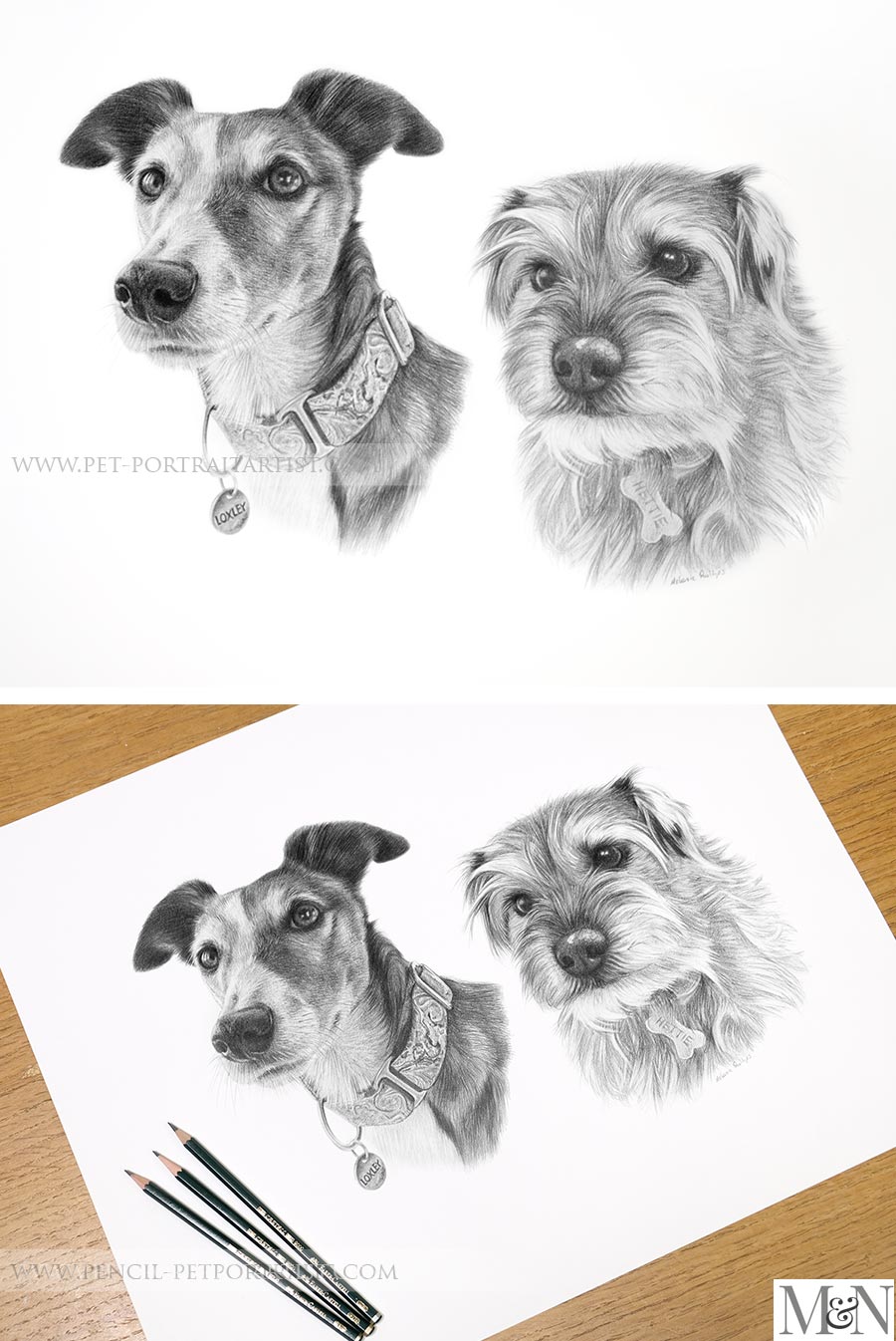 Pencil sketch of two dogs with soft, realistic fur texture