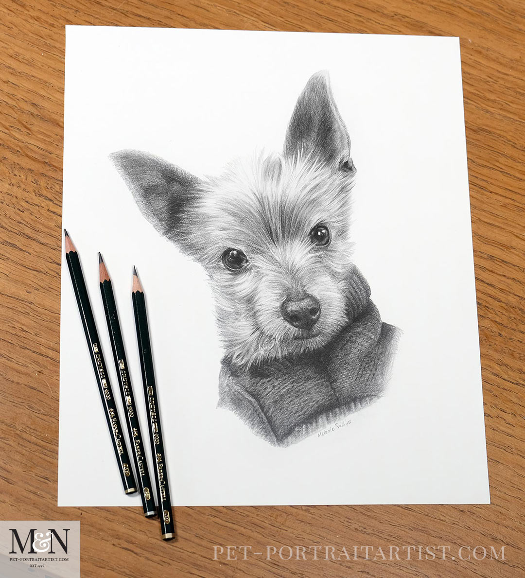 Hand-drawn portrait of a dog for commission