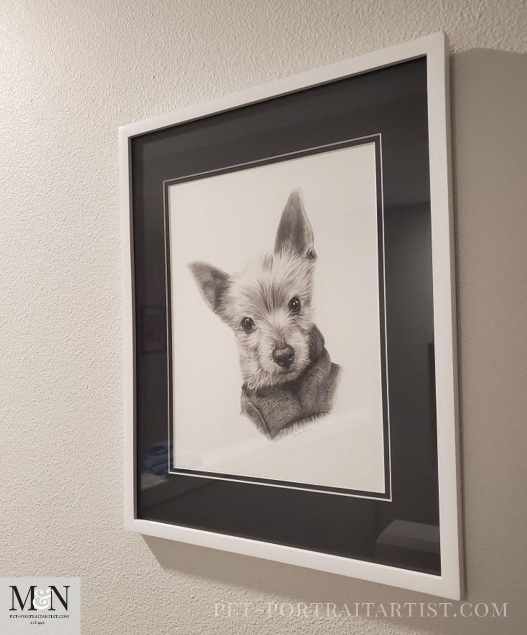 Pencil portrait of Blue framed and displayed