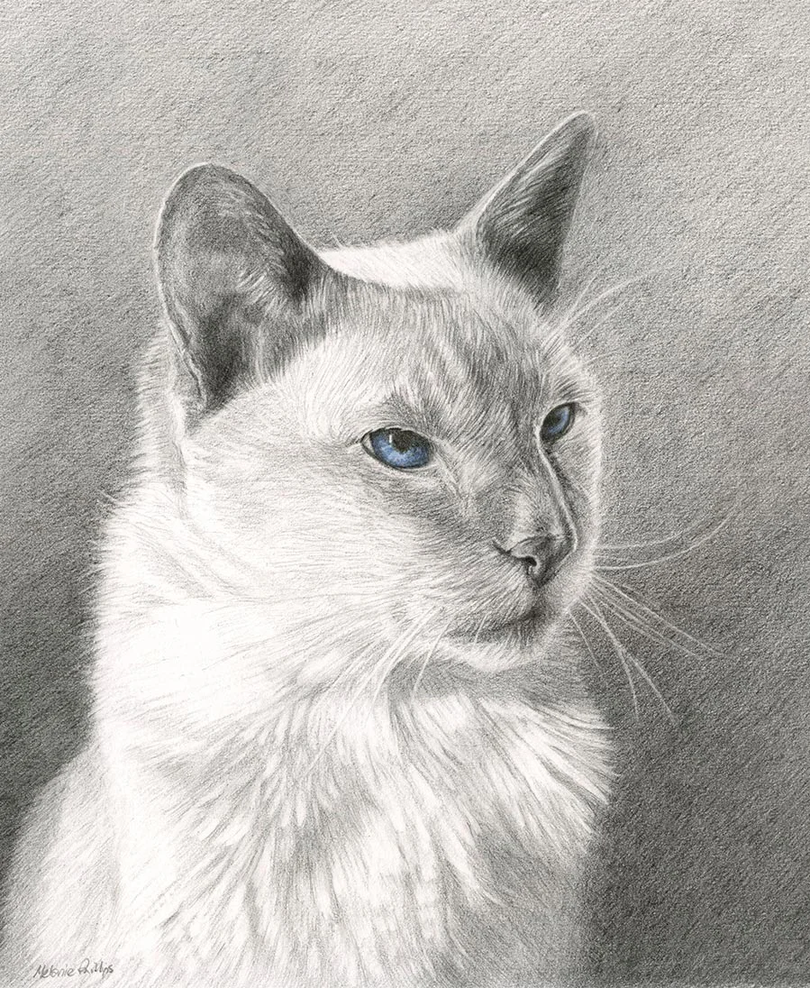 Max the Cat – Pet Portrait Pencil portrait of Max, a cat, capturing his thoughtful gaze.